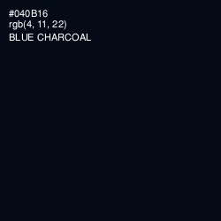 #040B16 - Blue Charcoal Color Image